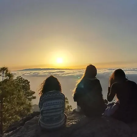 بيت شباب The Wave Temple Ii *