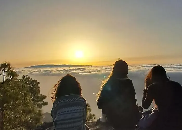 بيت شباب The Wave Temple Ii *